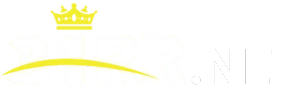 31rr-logo